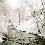 Snow galore